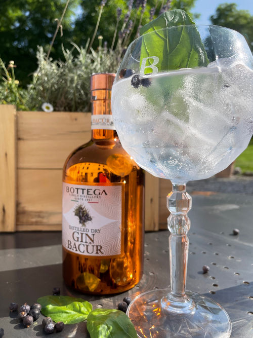 Bottega Bacur Gin and Tonic Bottega Bacur Gin