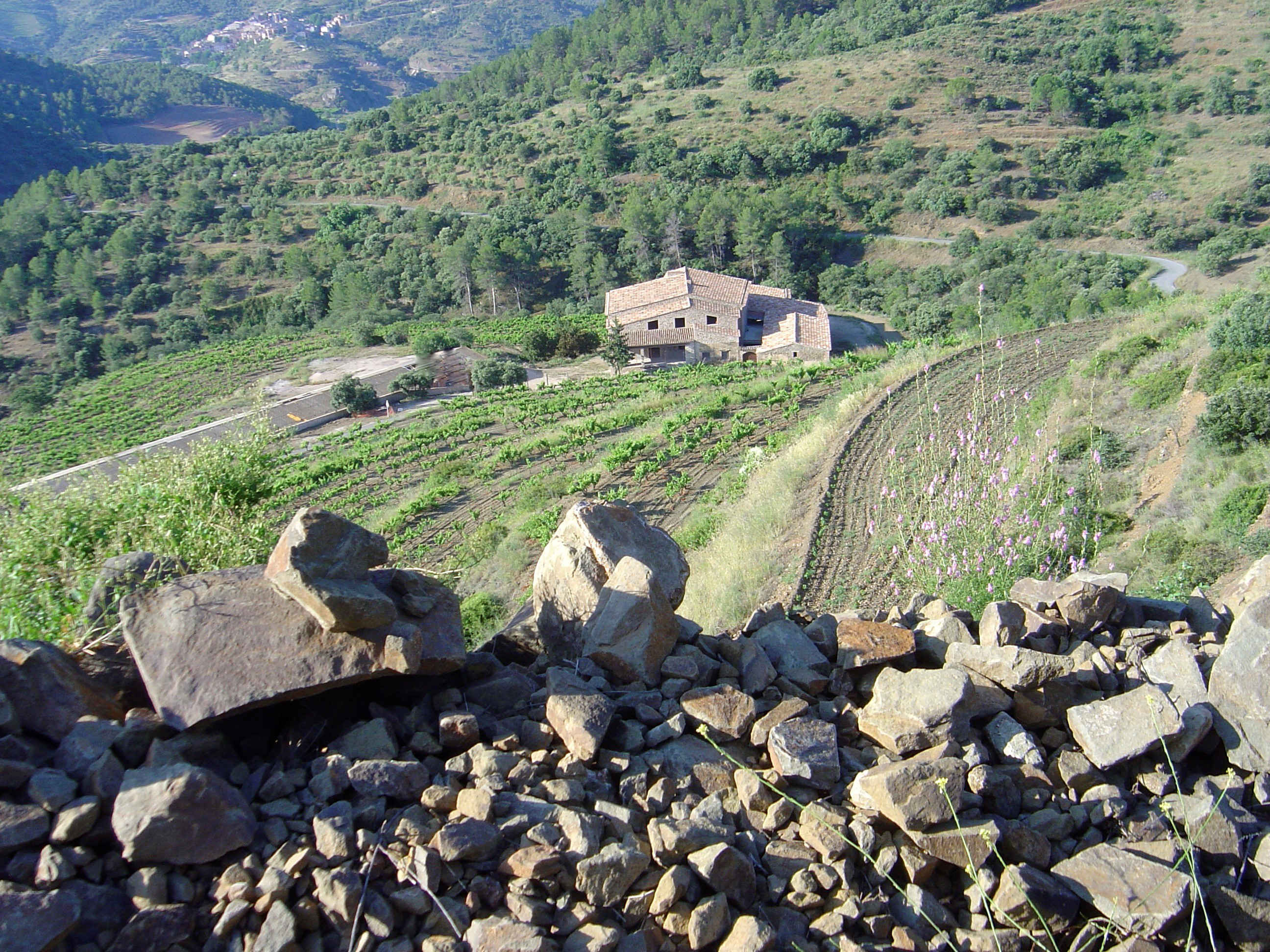 Hilltop at Clos De L'Obac Wine