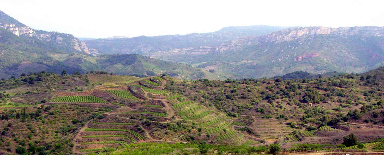 Priorat Landscape Priorat