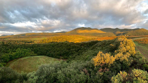 Domaine du M&eacute;t&eacute;ore