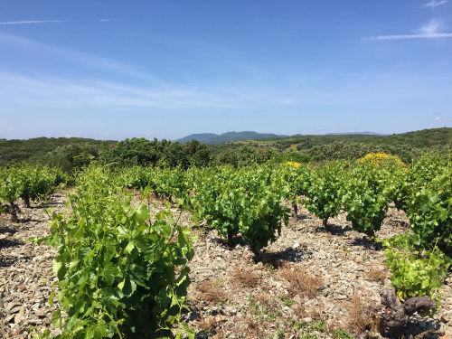 Domaine du M&eacute;t&eacute;ore