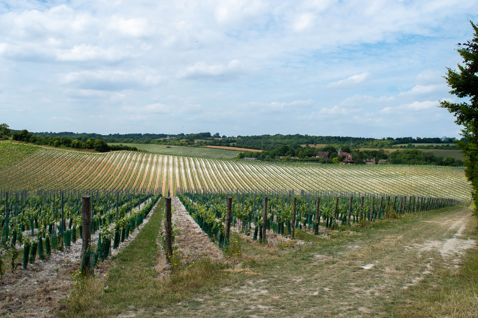 History at Silverhand Estate Silverhand