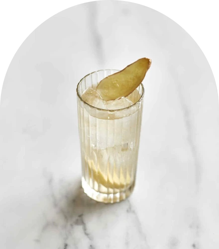 Sollasa Ginger Sollasa Ginger