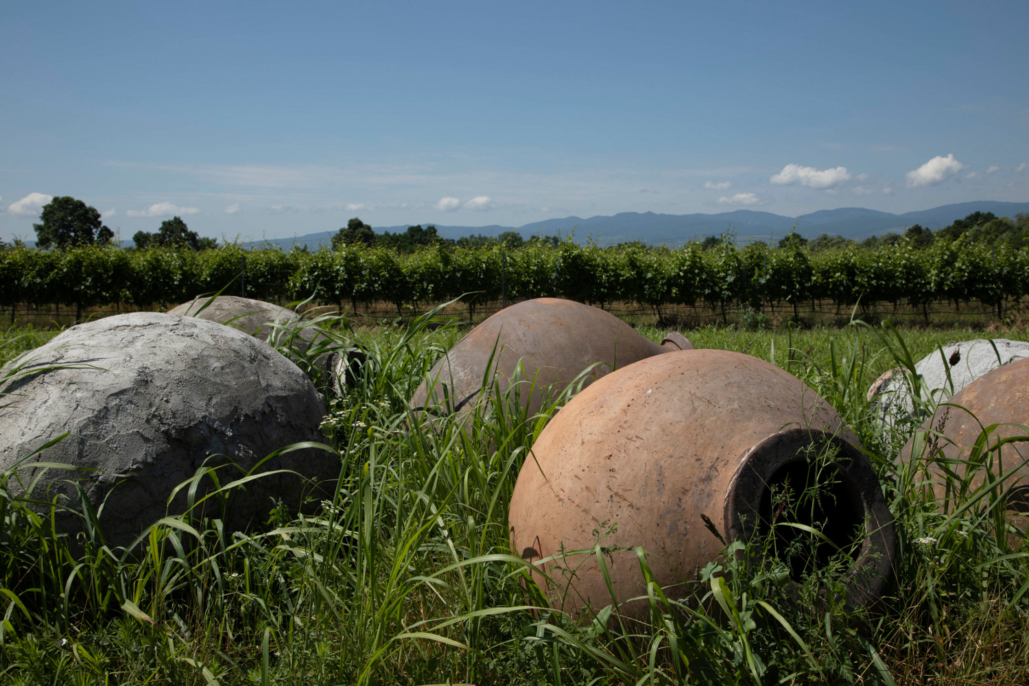 Tbilvino Qvevris Qvevri