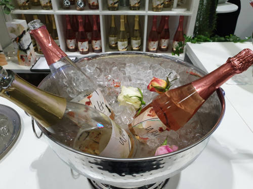 Bubbles with Benefits - Wild Life Botanicals Wild Life Botanicals