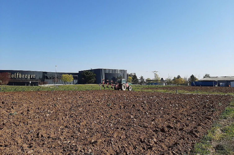 Wolfberger Vineyards